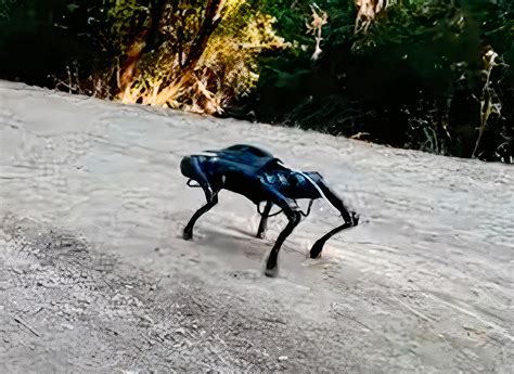 Robot Dog Teaches Itself to Walk Outdoors in Under 20-Minutes with Machine Learning - TechEBlog