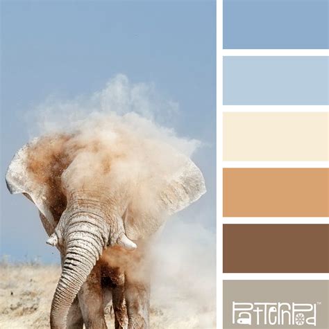 Safari Sand #patternpod #patternpodcolor #color #colorpalettes | Color ...