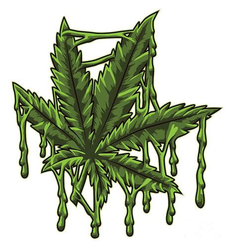 Weed Leaf Drawing