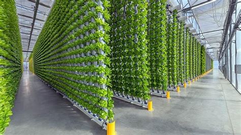 Vertical Farming Market is Booming Worldwide | Vertical Farm