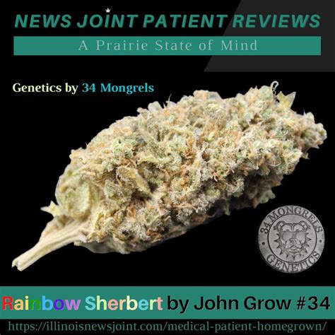 Homegrown Review: Rainbow Sherbet by John Grow #34 - Illinois News Joint