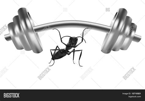 Ant Lifting Weight Image & Photo (Free Trial) | Bigstock