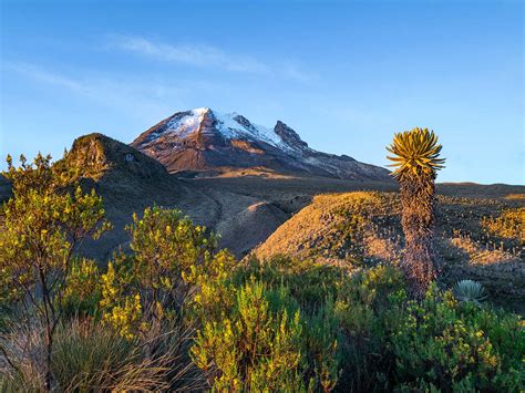 Los Nevados National Natural Park | Mustseespots.com