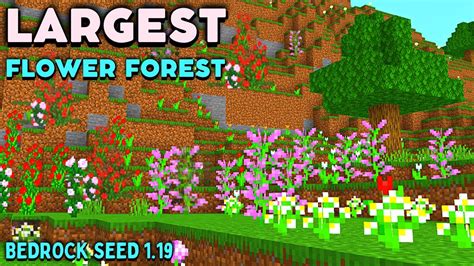 Minecraft Xbox 360 Flower Biome Seed | Best Flower Site