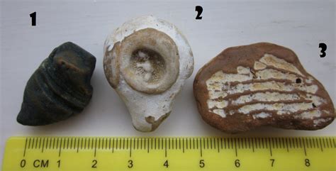 Pseudofossils? - Fossil ID - The Fossil Forum