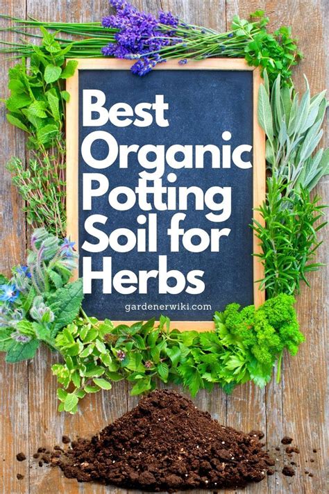 Best Organic Potting soil for Herbs | Potting soil, Soil, Herbs