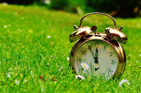 Free Images : grass, lawn, meadow, alarm clock, green, dial, flowers, disaster, hours, pointer ...
