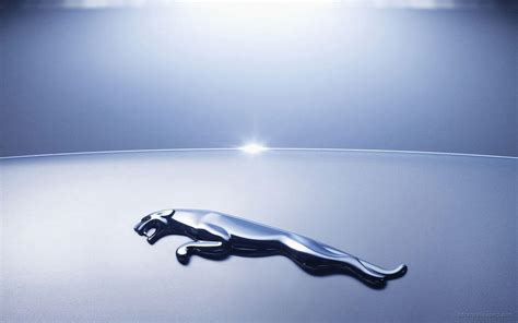 Jaguar Car Logo Wallpapers - Top Free Jaguar Car Logo Backgrounds ...