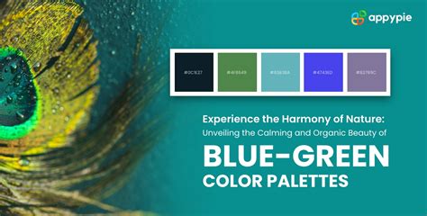 Introduction to Blue-Green Color: Definition, Origins and HEX Code