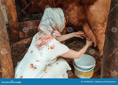 Woman Milkmaid Milking a Cow, Farm Stock Image - Image of bovine, food: 149326225