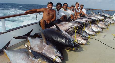 Yellowfin tuna fishing off the hook | San Diego Reader