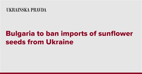 Bulgaria to ban imports of sunflower seeds from Ukraine | Ukrainska Pravda