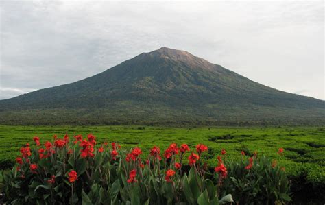 Mount Kerinci Trekking Package & Tour Information - Lombok Green Nature