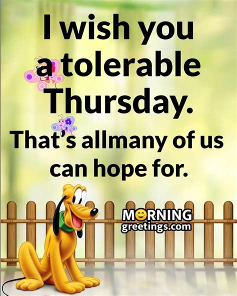 50 Wonderful Thursday Quotes Wishes Pics - Morning Greetings – Morning ...