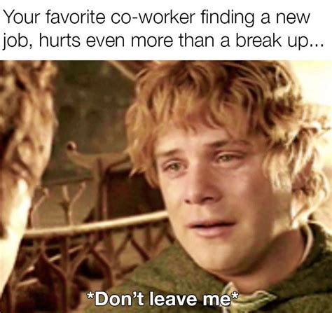 Don't Leave Me | Work memes, Work humor, Funny coworker memes