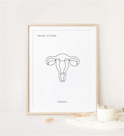 Uterus Anatomy, Anatomy, Anatomy Printable, Anatomy Line Art, Medical Art, Clinic Décor, Anatomy ...