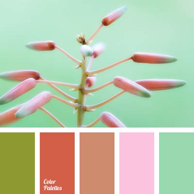 Color Palette #562 | Color Palette Ideas
