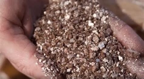 Benefits Of Vermiculite In Soil – No Dig Vegetable Gardening Blog