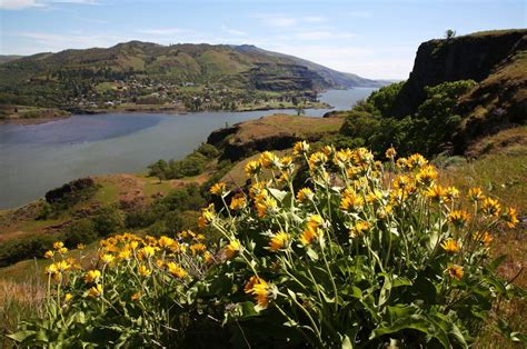 Some Columbia River Gorge hiking trails, parks reopen, but many popular ...