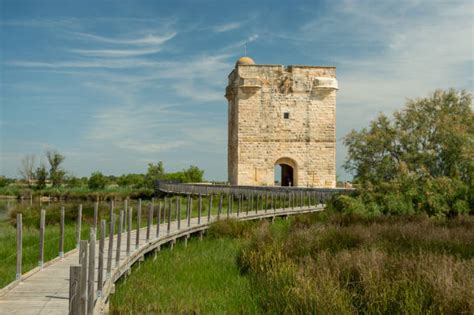 2,200+ Camargue National Park Stock Photos, Pictures & Royalty-Free ...