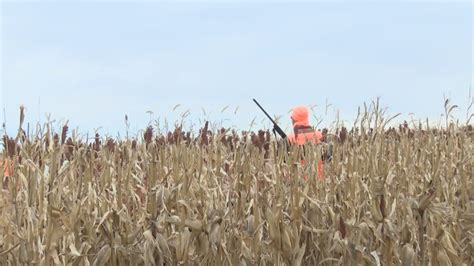 Iowa DNR sees increase in resident hunting licenses | SiouxlandProud ...