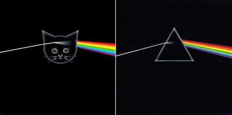 My Kind Of Introduction: An Artist uses Kittens to ReCreate Classic Album Covers
