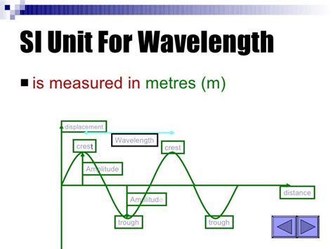 Longitudinal and transverse waves