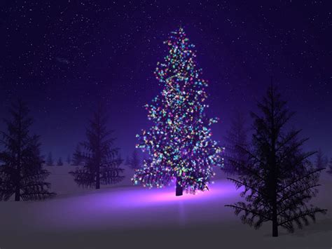 Free download wallpaper Christmas Trees Wallpapers [1600x1200] for your Desktop, Mobile & Tablet ...