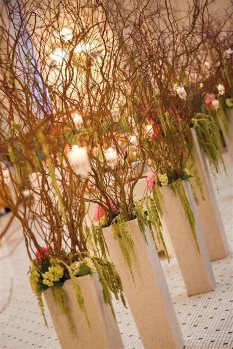 Curly Willow trees | Wedding | Pinterest | Wedding ceremony flowers ...