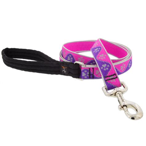 Reflective Dog Leash - Hoss & Duke's Pet Food