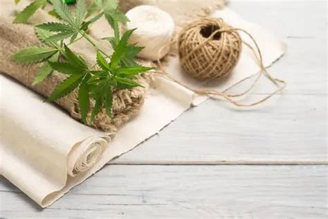 Hemp Fiber: Properties, Processing and Uses - Textile Blog