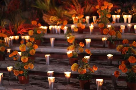 Día de Muertos: 5 flores esenciales para tu altar | El Heraldo de ...