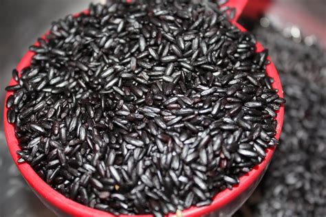 Black Forbidden Rice