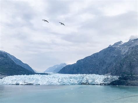 Alaska Adventure {Glacier Bay National Park and Preserve} – Dixie Delights