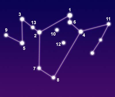 Constellation Phoenix - The Constellations on Sea and Sky