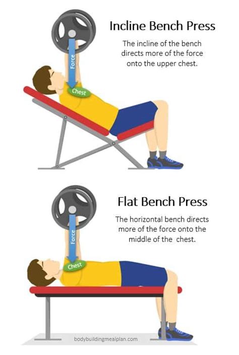 Incline Bench Press vs Flat Bench Press For Building Chest | Nutritioneering