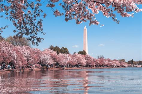 Must-See Attractions in Washington, DC - Amazing America