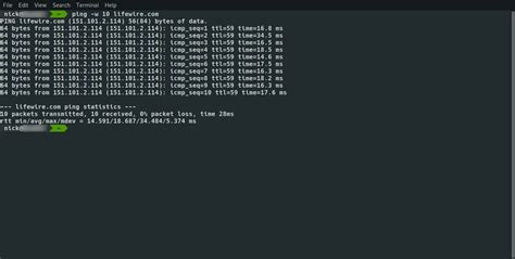 Using Of The Linux Command Ping With Examples – NBKomputer