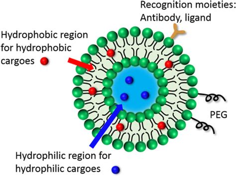 Liposomes as Multifunctional Nano-Carriers for Medicinal Natural ...