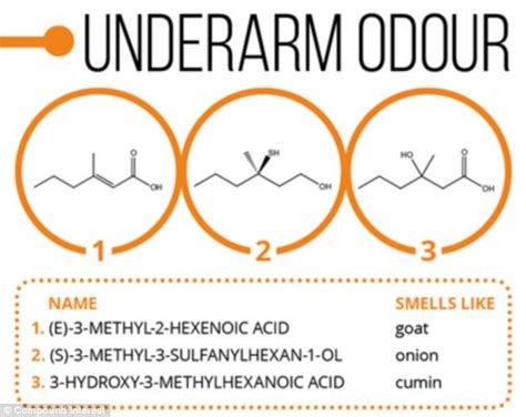 Infographic explains chemistry of odours - flatulence and cheesy feet ...