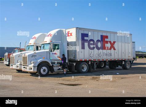 Fedex freight delivery truck with Fedex employee driver climbing into cabin. Trucks lined up ...