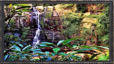 Download Rainforest, Landscape, Australian. Royalty-Free Stock ...