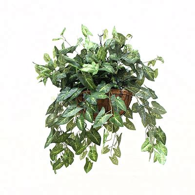 hanging | Artificial Plants Online