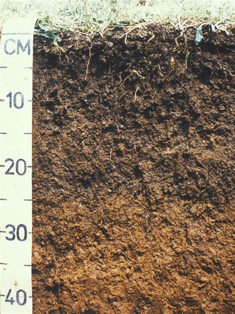 Granular Soils [N] » New Zealand Soils Portal - Manaaki Whenua - Landcare Research