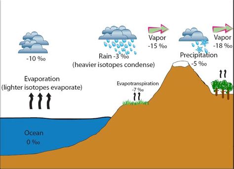 Study Notes on Condensation