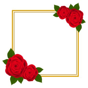 Rose Border Clipart Images | Free Download | PNG Transparent Background - Pngtree