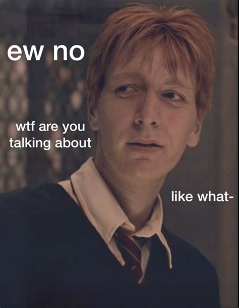 Fred And George Weasley Memes