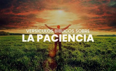 25 Versículos de la Biblia sobre Paciencia - Textos Bíblicos