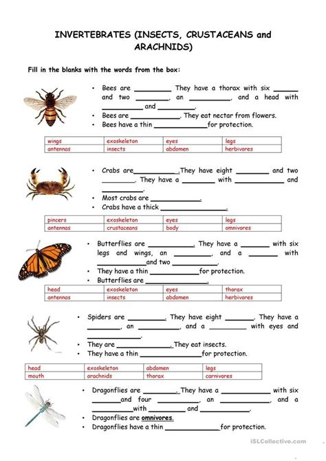 Animals-Vertebrates and Invertebrates | Vertebrates and invertebrates, Vertebrates, Invertebrates