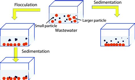 1 Schematic line diagram of sedimentation and... | Download Scientific ...